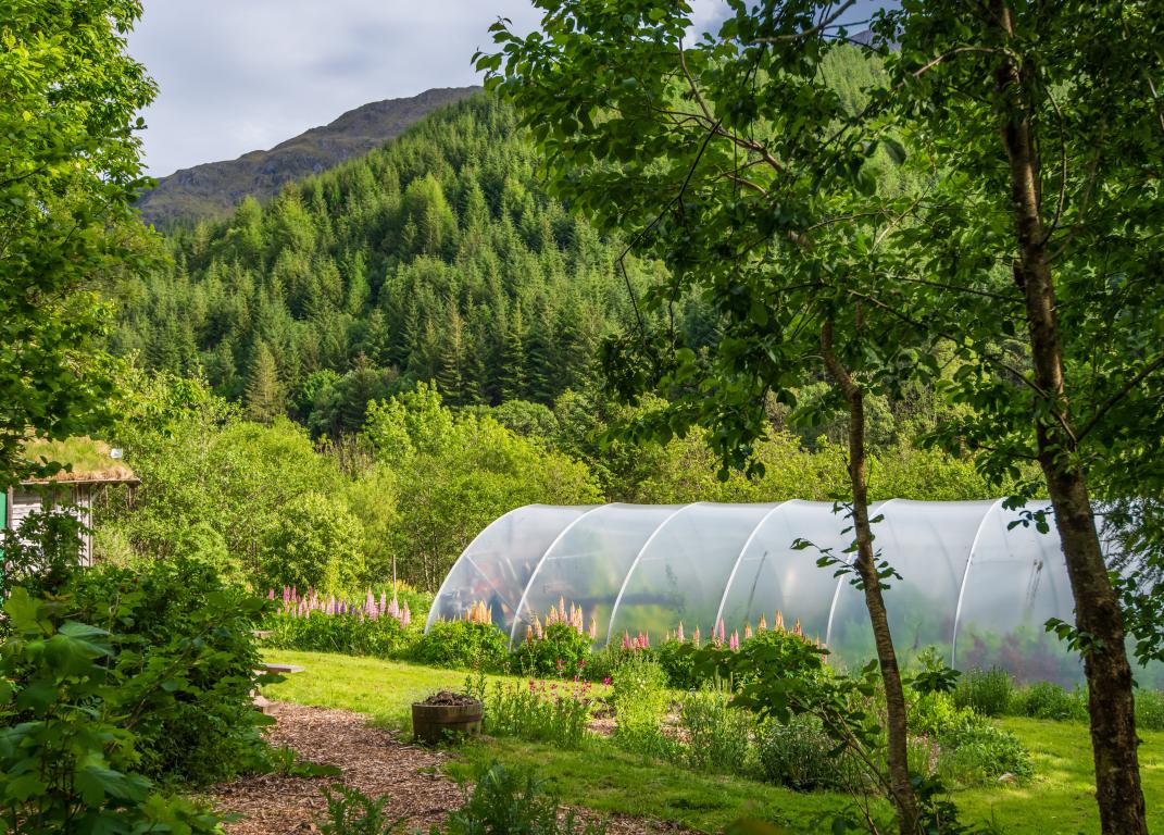 Market gardens and greenery, Glenelg. (Credit: VisitScotland/ Airborne Lens)