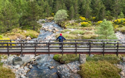 A man with a blue backpack and in a red hat standing on Utsi Bridge in the Cairngorms. The wooden bridge is suspended over Utsi River and is surrounded by trees. The Cairngorm mountains appear out of focus in the background of the image.