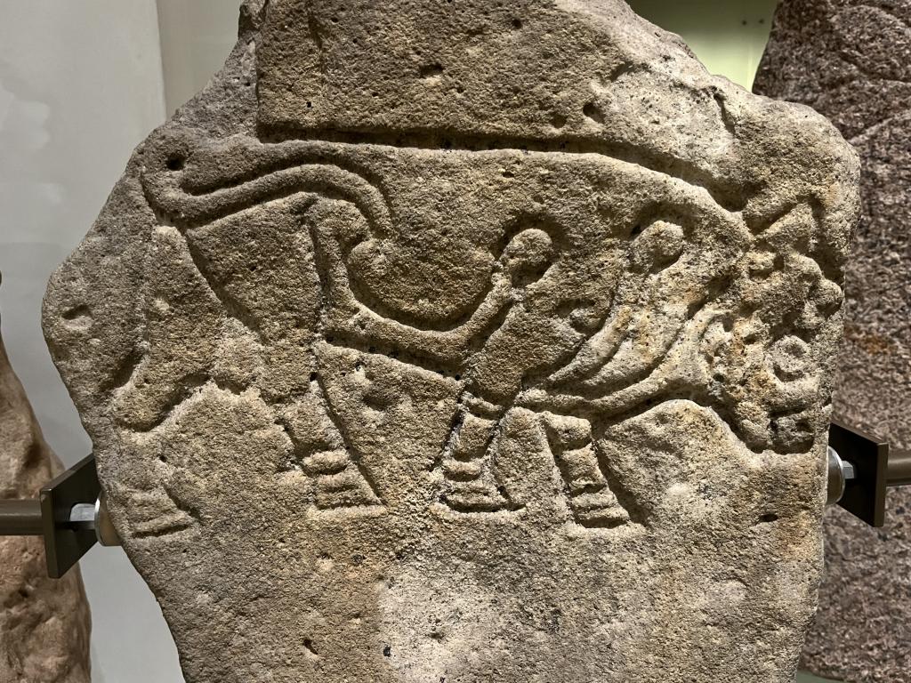                         A Burghead Bull stone on display at the National Museum of Scotland (Credit: Carenza Murray)
                        