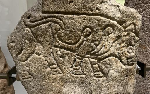 A Burghead Bull stone on display at the National Museum of Scotland