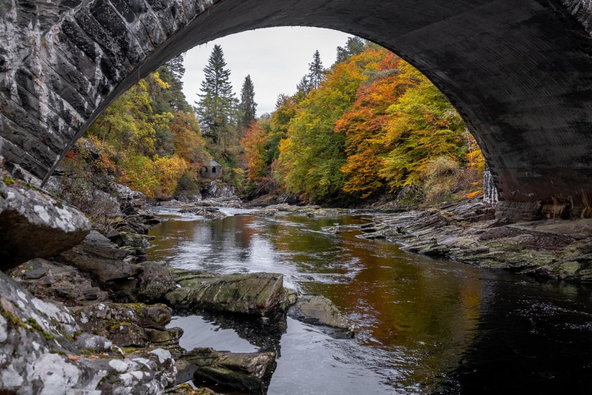 A large arched, grey stone bridge over a stream. In the background of the image, behind the bridge, a number of large trees can be seen flanking the stream.
