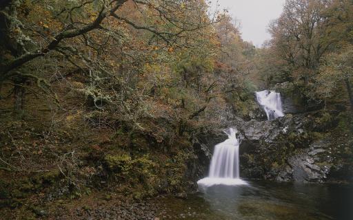 A waterfall at Arkaig running into shallow water. The waterfall is surrounded by trees with orange and green leaves which take up 50% of the image.