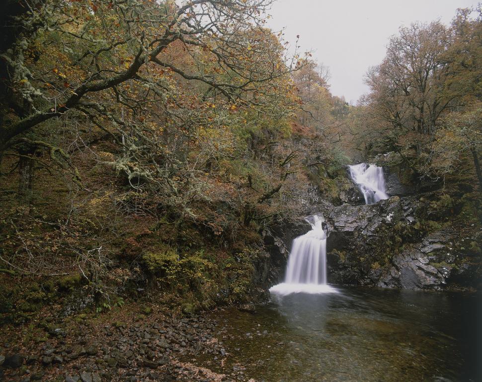 A waterfall at Arkaig running into shallow water. The waterfall is surrounded by trees with orange and green leaves which take up 50% of the image.