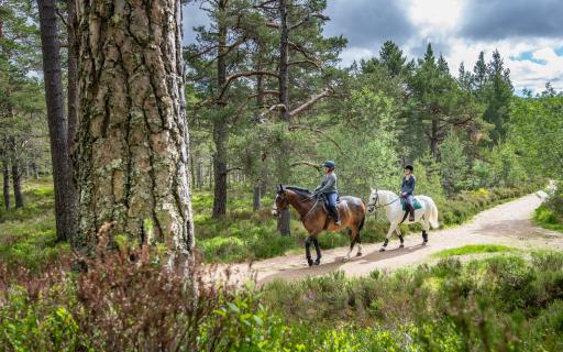 The Cairngorms National Park offers lots of opportunities for outdoor adventure including horse riding through the forest.