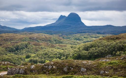 The silhouette of Suilven appears in the top half of the image. Green shrubs covering a rocky landscape fill the bottom half of the image.