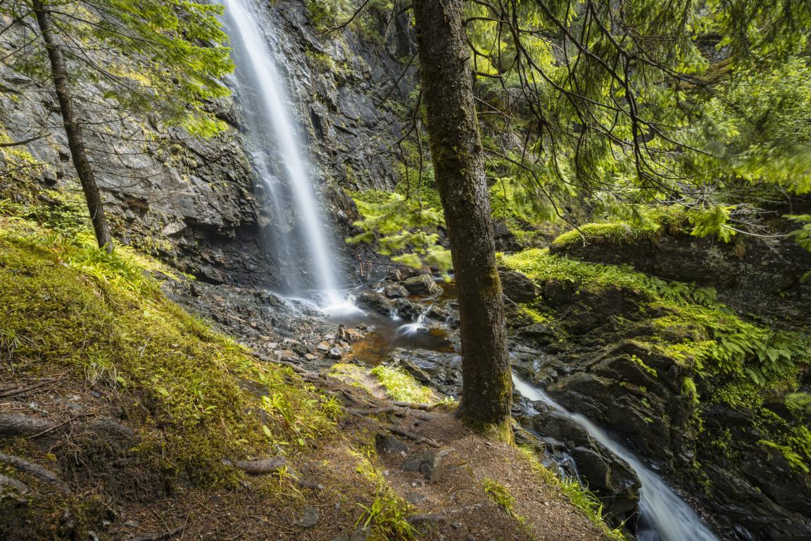 Green mosses and trees meet a cascading waterfall in the centre of the image.