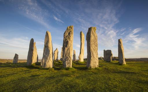 Circle of standing stones in a grassy field.