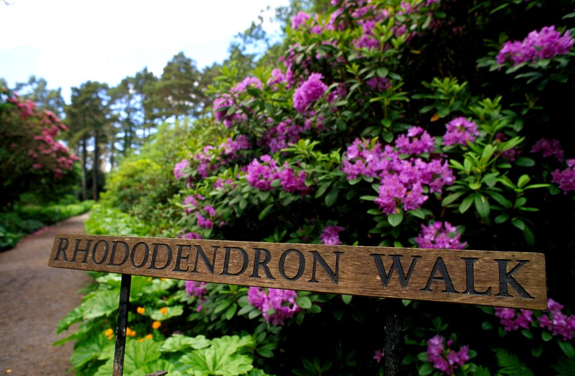 Inverewe Gardens, Wester Ross (Credit: VisitScotland/Paul Tomkins)