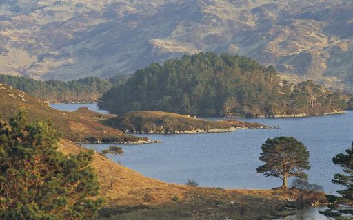 View looking on to Loch Morar, with tree covered island which are strewn across the loch surface