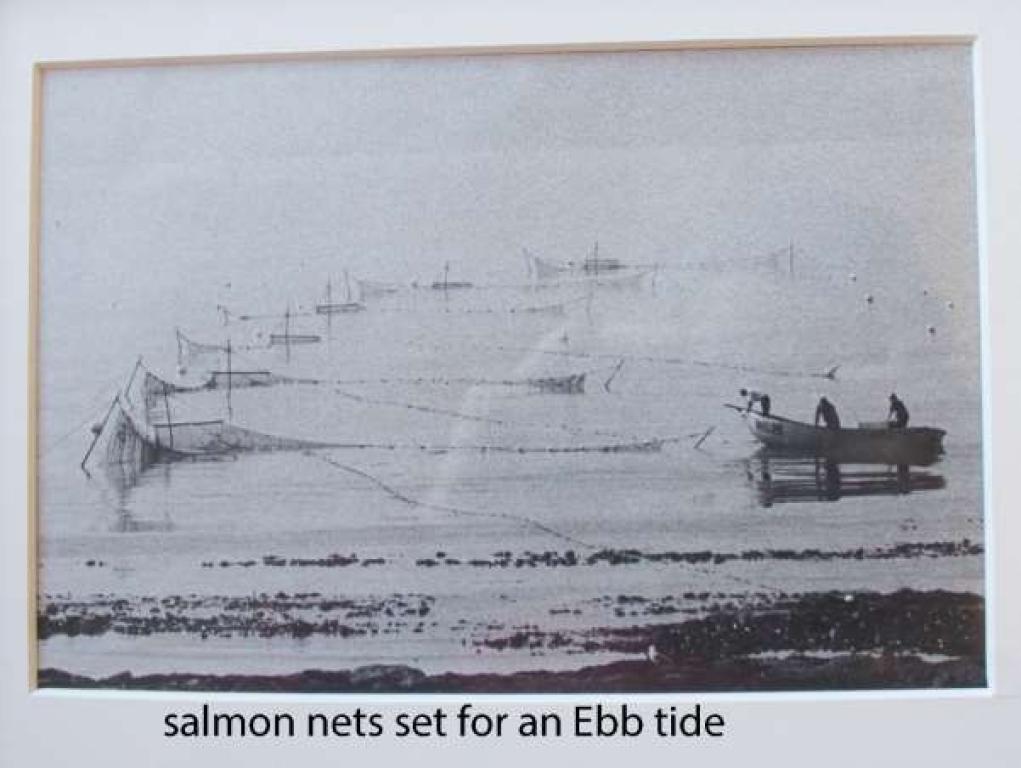 A black and white sketch of salmon nets along a stretch of water. A salmon cobble boat with three fishermen aboard is seen on the right hand side of the sketch