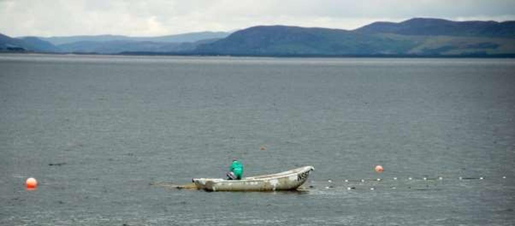 A small boat, a coble, with a man in a green jacket is seen sailing off Portmahomack. The man appears to be checking a net.