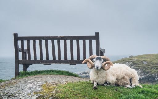 A place to relax with friendly locals! Isle of Harris, Outer Hebrides