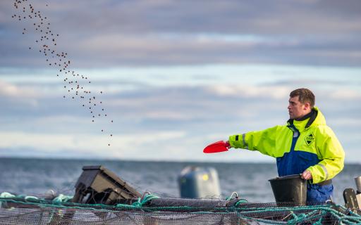 Traditional industry like fishing thrives in the rich waters around Uist