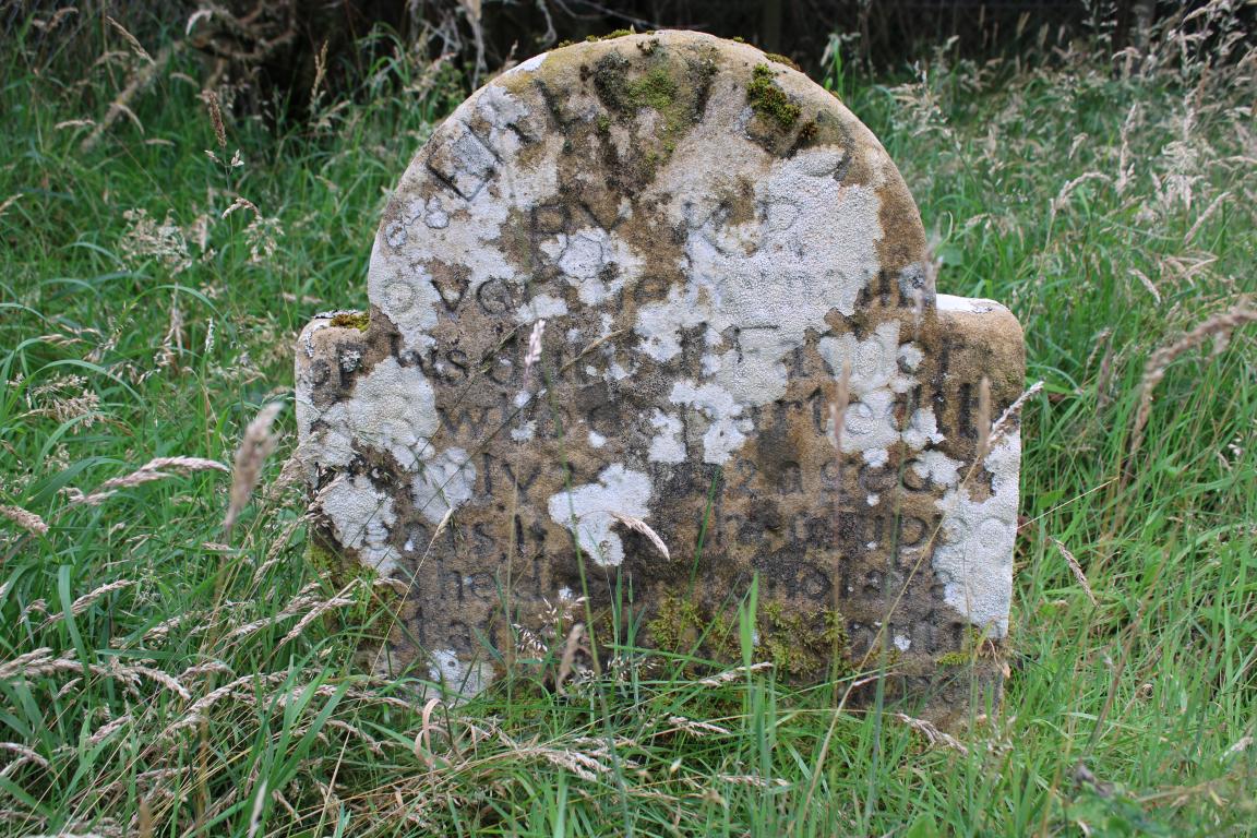 A weathered light brown stone in a field of grass. The stone is covered in engravings which are eroded.