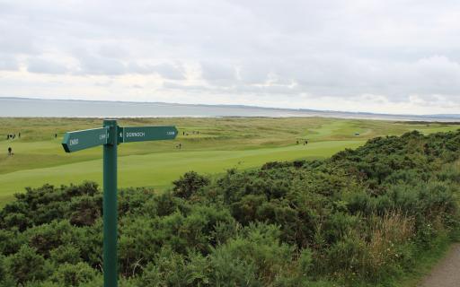 A green signpost pointing towards Dornoch. Rows of green shrubs are below the sign. In the distance a golf course, with players making their way around the course, is visible.