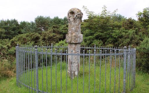 A large light brown stone pillar stands in tall grass. A circular grey metal fence surrounds the stone pillar.