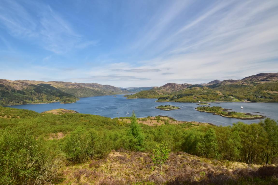                         View from a WWII bunker at Balnakailly, Bute Community Forest, Argyll and the Isles (Credit: Bute Community Forest)
                        