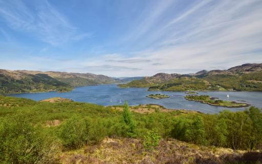 View from a WWII bunker at Balnakailly, Bute Community Forest, Argyll and the Isles