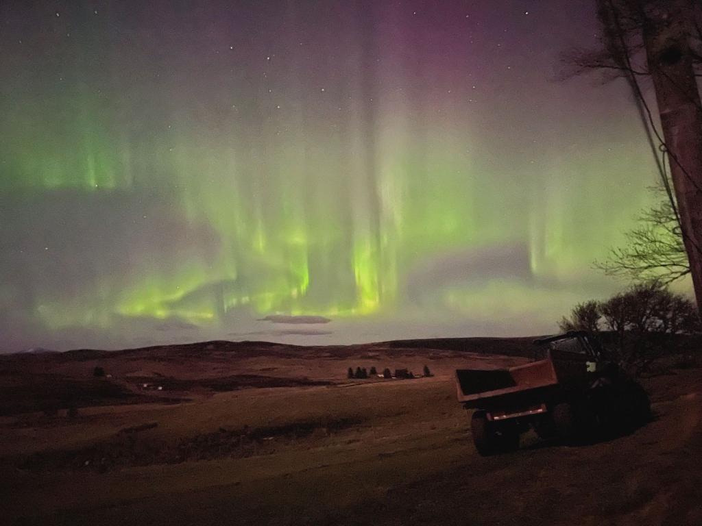 The Northern Lights, green in colour, illuminate a starry, purple night sky over a rolling field.