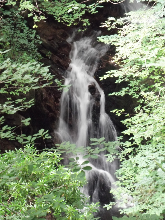 A waterfall flows down grey rocks. Green leaves and tree branches are in the foreground of the waterfall.