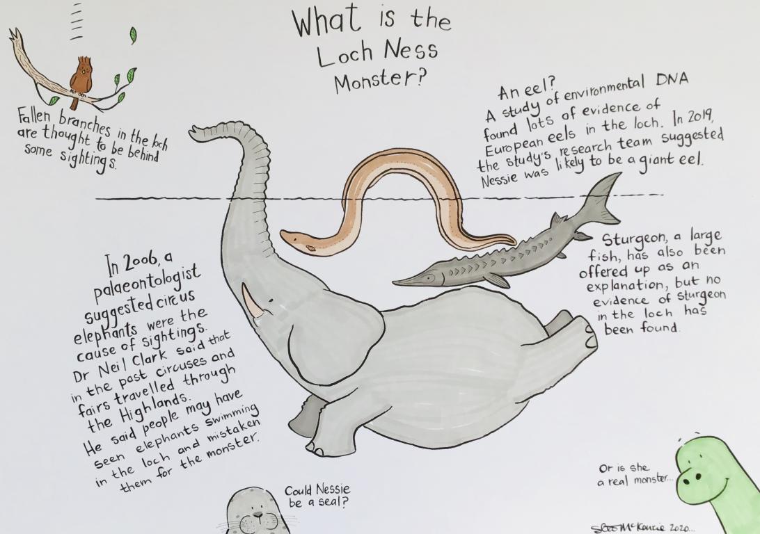 Cartoon which ponders over the true form of the Loch Ness monster. A large elephant, eel, sturgeon and a seal feature as possibilities