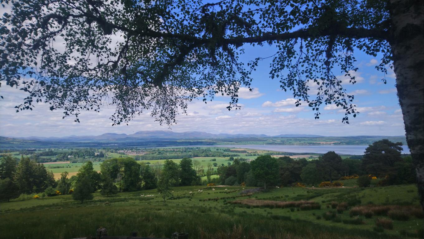 Looking down onto the village of Kirkhill near Inverness. A large tree branch extends across the top of the image. Green fields containing trees, shrubs and sheep extend downwards towards a body of still water.
