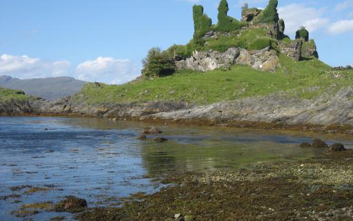 A moss-covered stone castle on a grassy mound can be seen in the upper half of the image above a body of water in the lower half of the image.