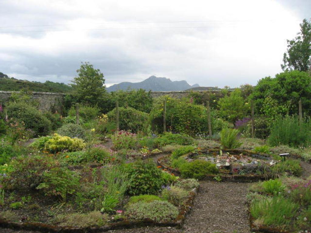 A garden, filled with an array of green shrubs and plants as well as a colourful array of flowers. A large circular pond can be seen at the centre of a stony path. The outline of a mountain can be seen in the background.