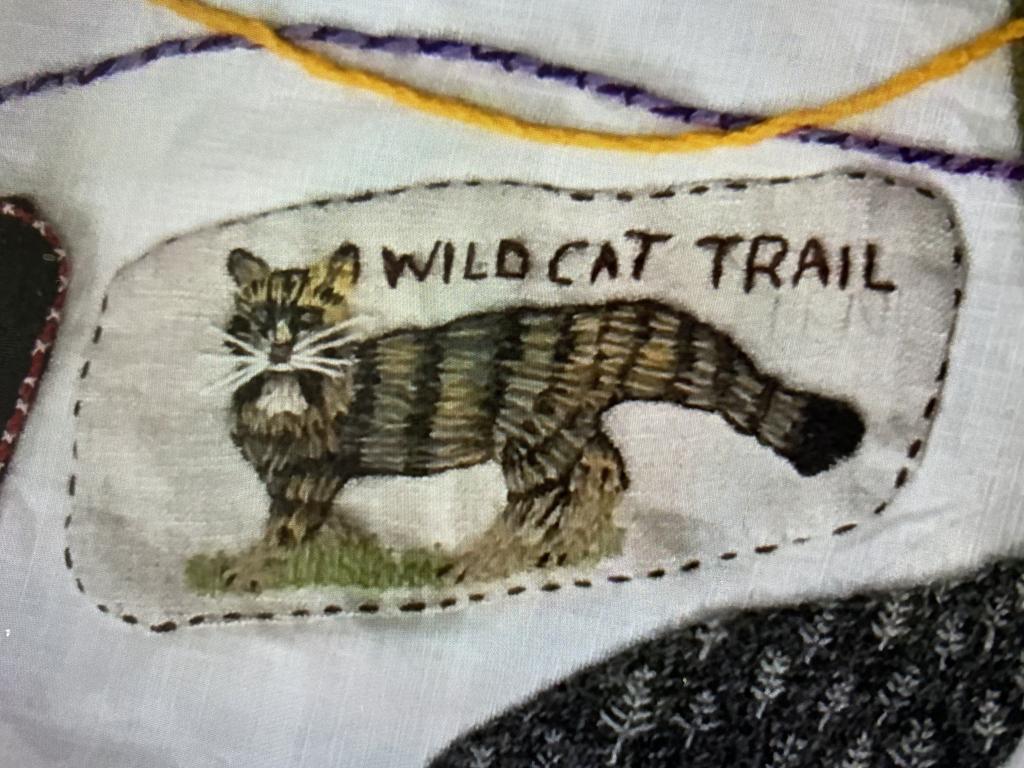 A cream piece of fabric with a brown Scottish wildcat stitched on top. The words 'Wild Cat Trail' are stitched in brown above the cat.